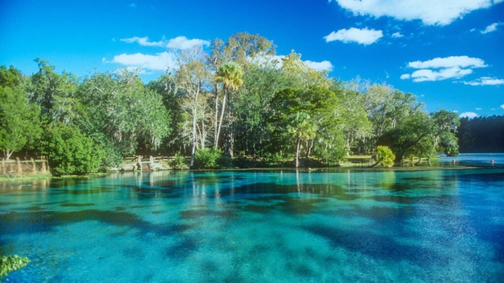 Crystal-clear turquoise spring surrounded by lush trees under a bright blue Florida sky