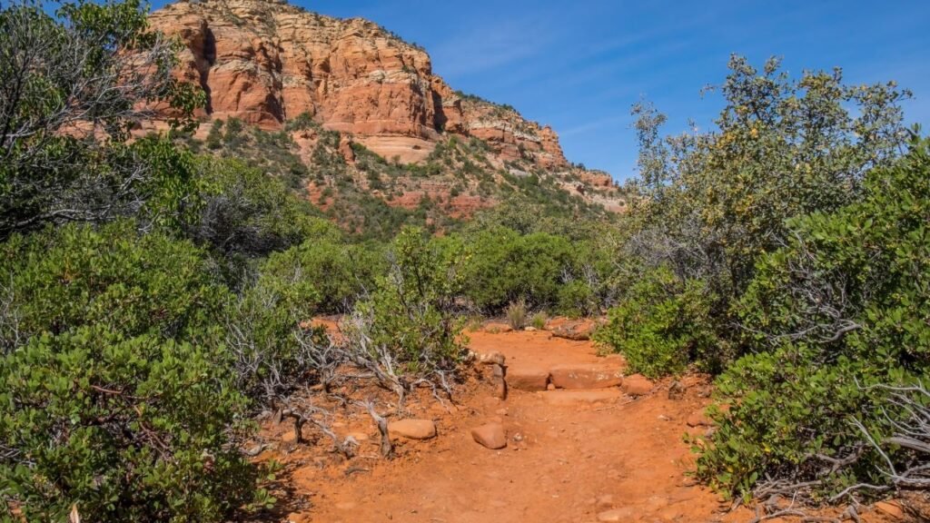 Hiking trail leading toward a red rock cliff in Sedona, Arizona, lined with green desert shrubs.
