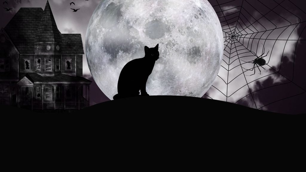 Black cat silhouette sitting in front of a full moon beside a haunted house and spider web illustration