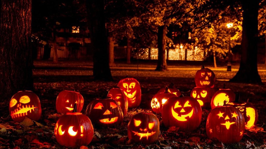 A group of carved Halloween pumpkins with different glowing faces displayed outdoors in a park at night