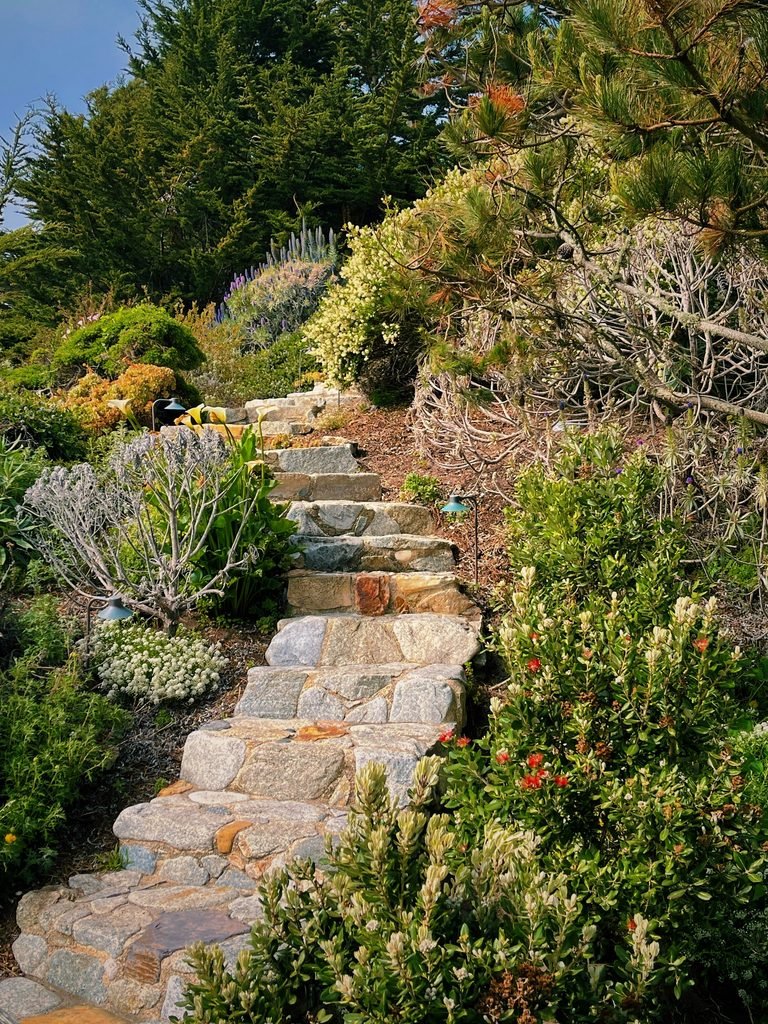 Winding natural stone steps leading up a steep, beautifully landscaped garden hill filled with coastal plants, blooming flowers, and mature pine trees.