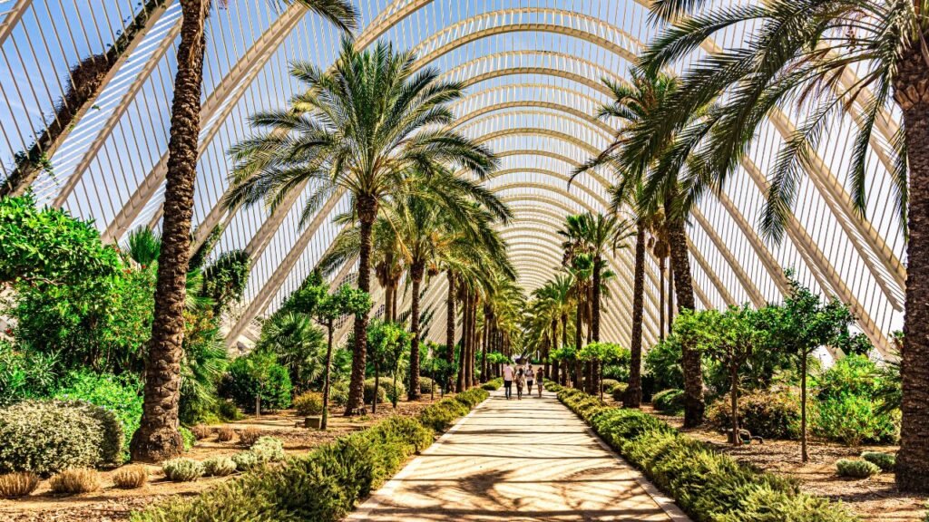 "Palm-lined pathway inside the Umbracle garden at the City of Arts and Sciences, Valencia