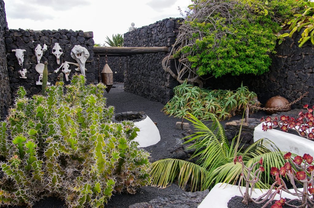 Unique desert garden landscape constructed with black volcanic rock walls, featuring large cacti, vibrant succulents, and rustic decorative animal skulls.